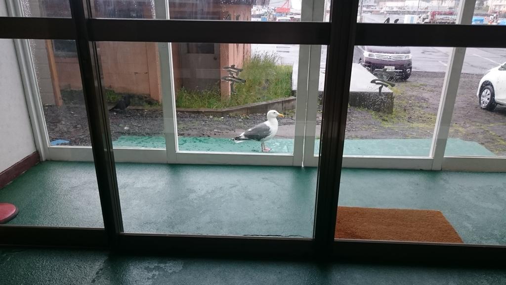 Ryokan Saihokutei Rishirifuji Buitenkant foto